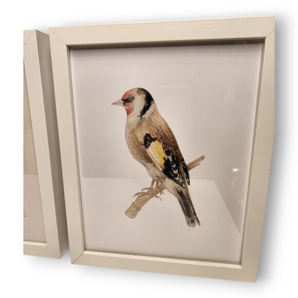 Lot of 3 White Framed Bird & Floral Prints – Goldfinch Theme – 9″×11″ Each - Picture 2 of 5